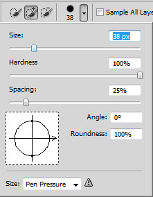 Cách sử dụng Quick Selection Tool trong photoshop