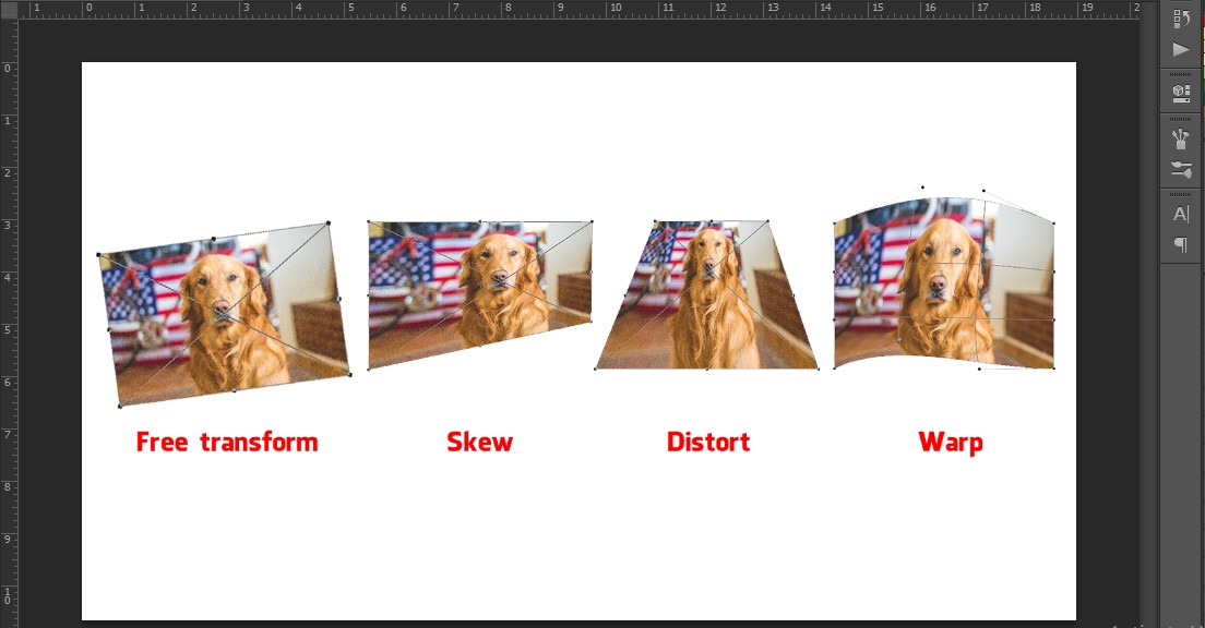 Thay đổi kích thước layer trong photoshop với Transform