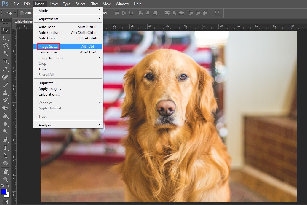 Thay đổi kích thước layer trong photoshop bằng Resize