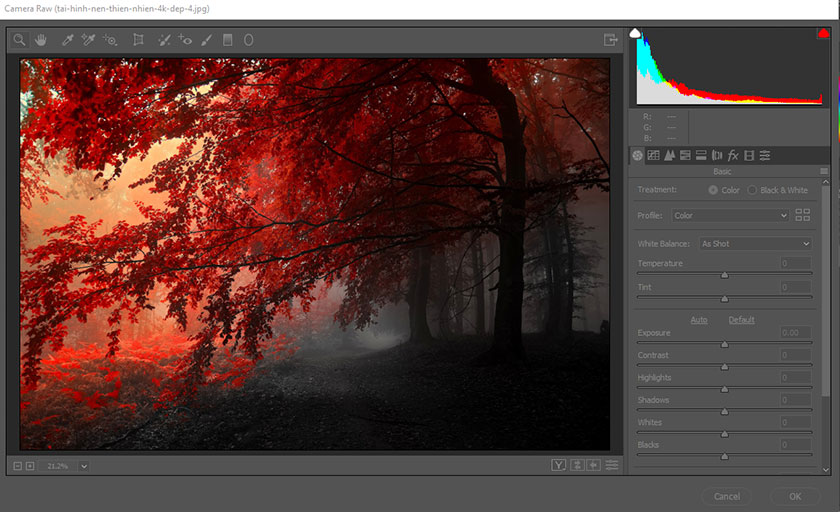 Camera Raw photoshop