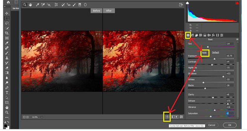 Camera Raw photoshop