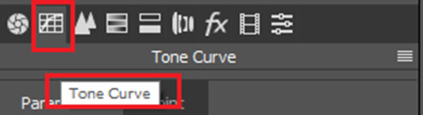Camera Raw photoshop