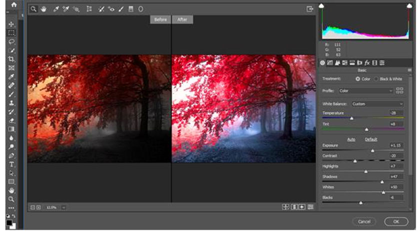 Camera Raw photoshop