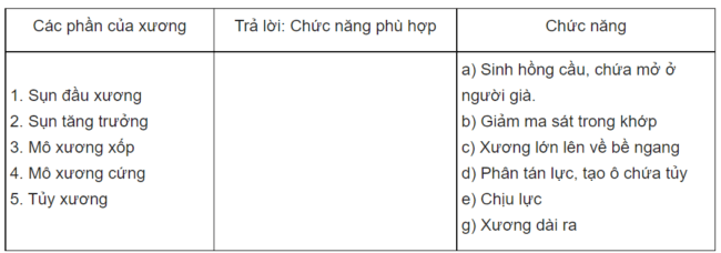 Cấu tạo và tính chất của xương?