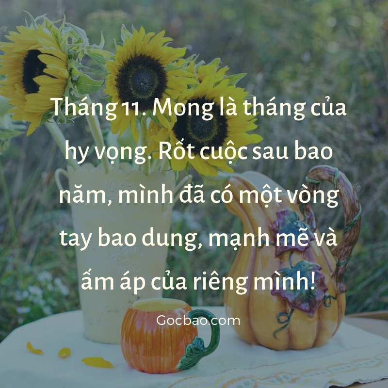 Stt viết cho tháng 11