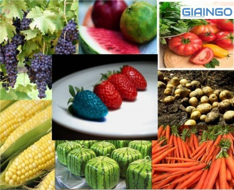 Tạo giống cây trồng biến đổi gen