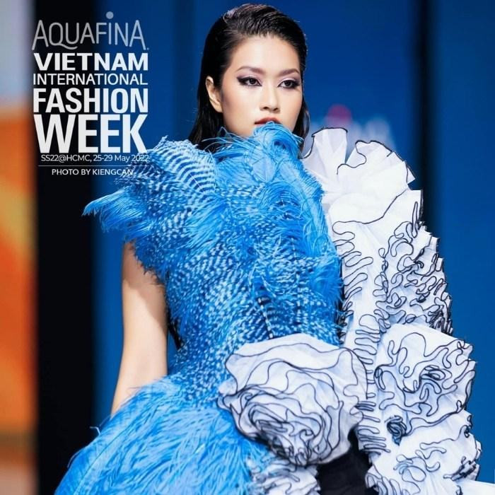 Sự nghiệp của Hoa hậu Đoàn Thiên  n