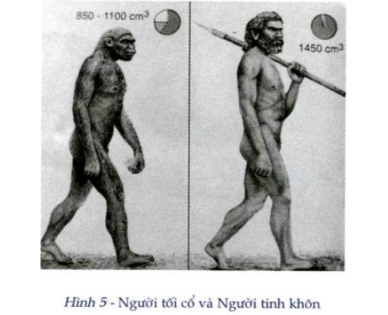 giai doan tiep theo cua nguoi toi co la gi 1