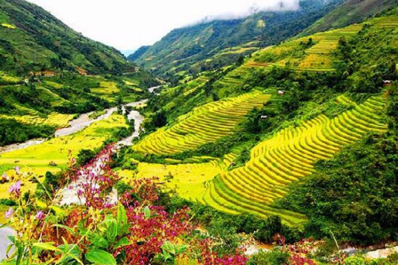 trung-du-va-mien-nui-bac-bo
