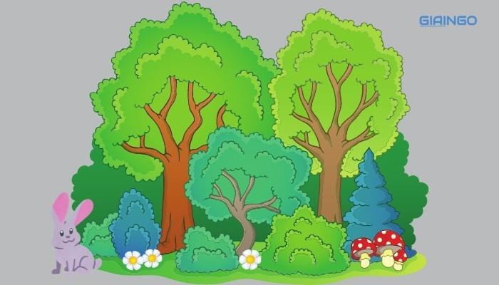 Phân loại và ví dụ về hệ sinh thái