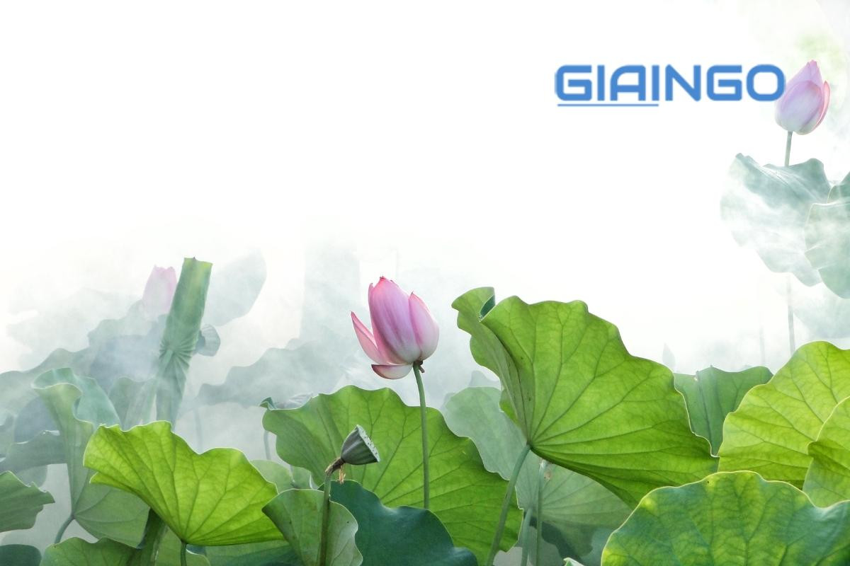 ý nghĩa của lotus walk