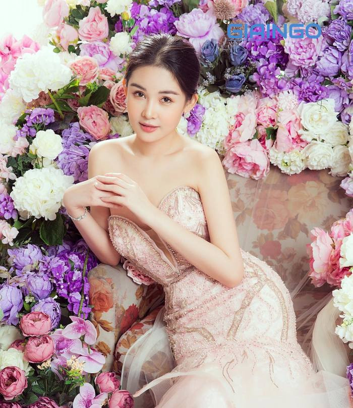Tiểu sử Lê  u Ngân Anh