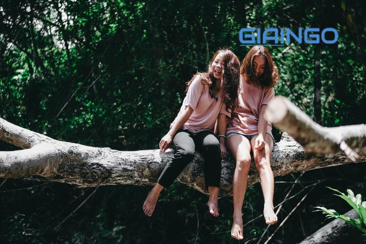 tình bạn mãi keo mãi mận