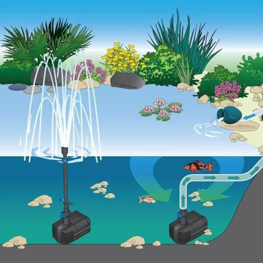 Máy bơm hồ cá KOI là gì? Những loại máy bơm hồ cá KOI tốt nhất hiện nay