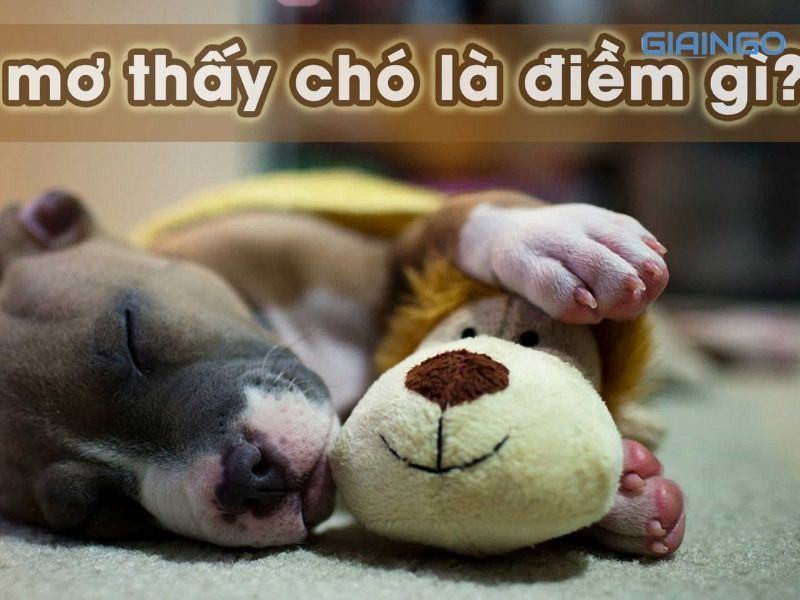 Nằm mơ thấy con chó nhỏ