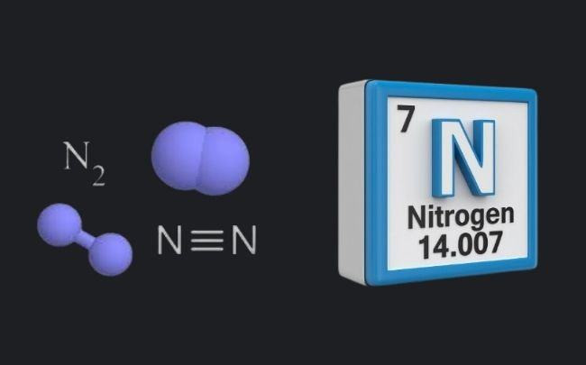 nguyen to nito