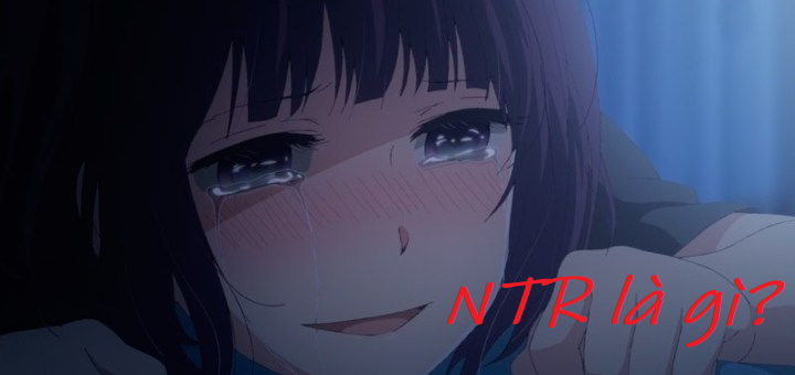 NTR nghĩa là gì?