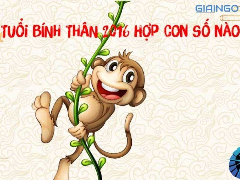 Năm 2016 hợp số nào? 