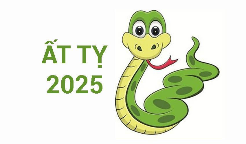 nam 2025 la nam con gi