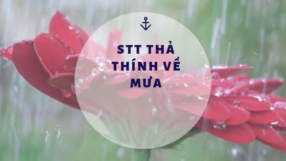 Stt mưa