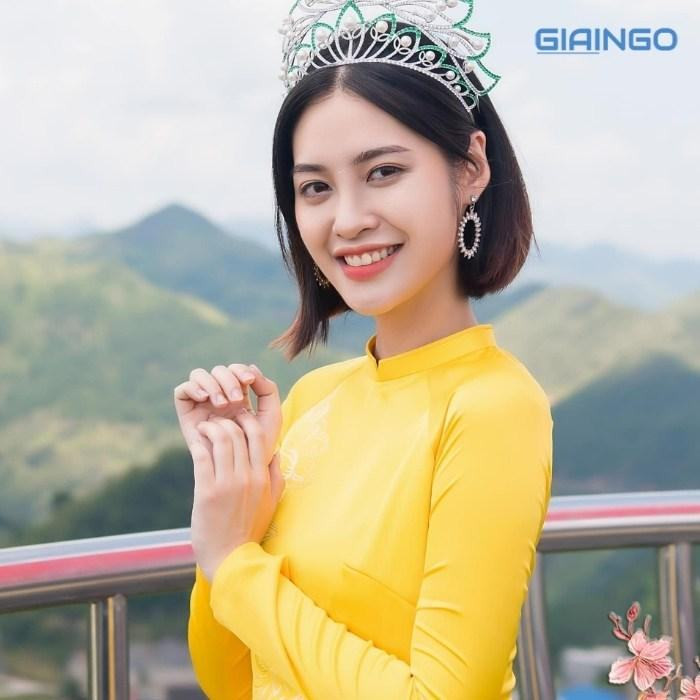 Nông Thúy Hằng là ai
