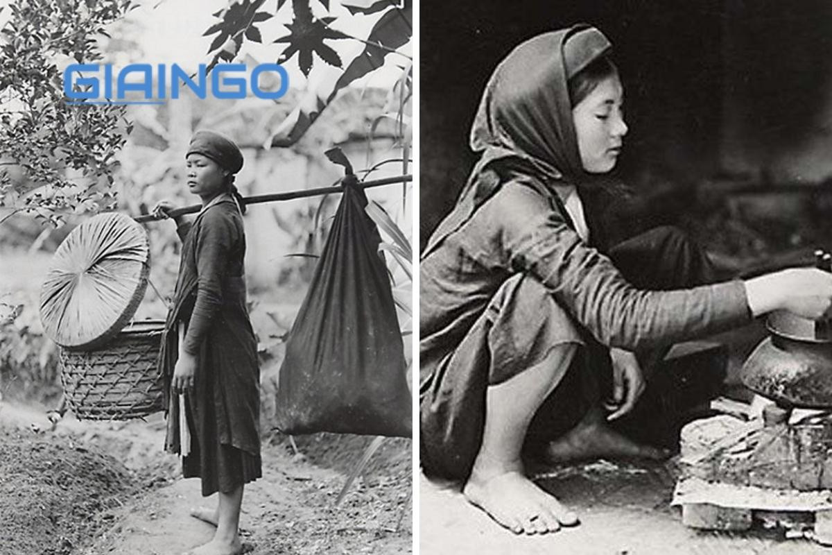 nghĩa bóng của quả khu mấn nghệ an