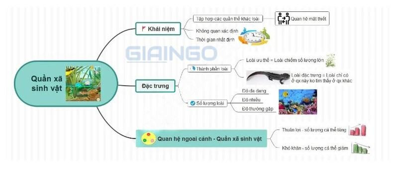 Sơ đồ tư duy quần xã sinh vật