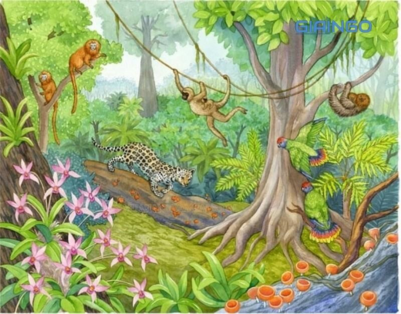 Quần xã sinh vật là gì?