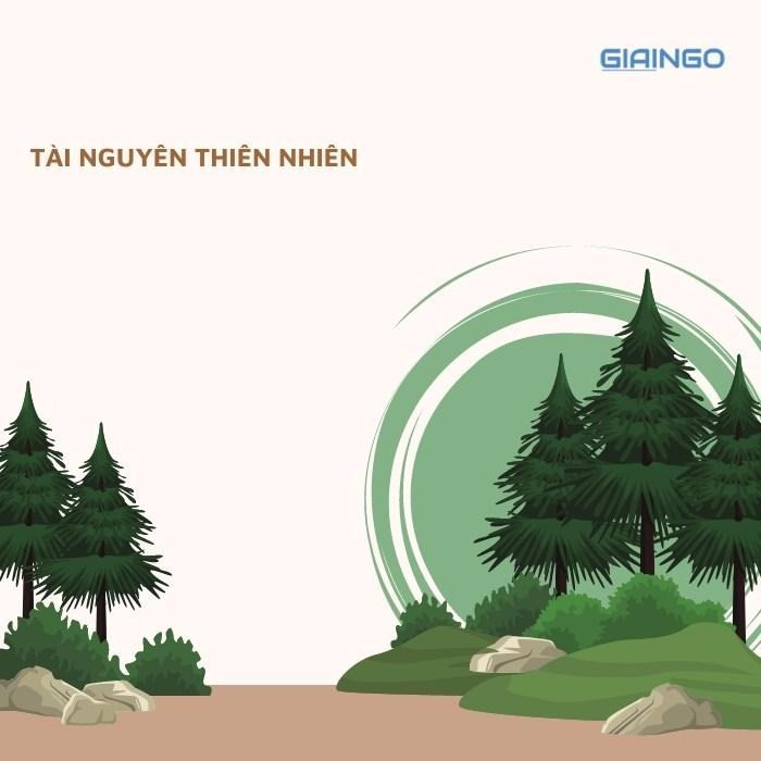 các dạng tài nguyên thiên nhiên