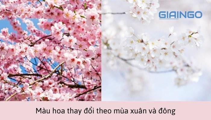 Một trong những đặc điểm của thường biến là