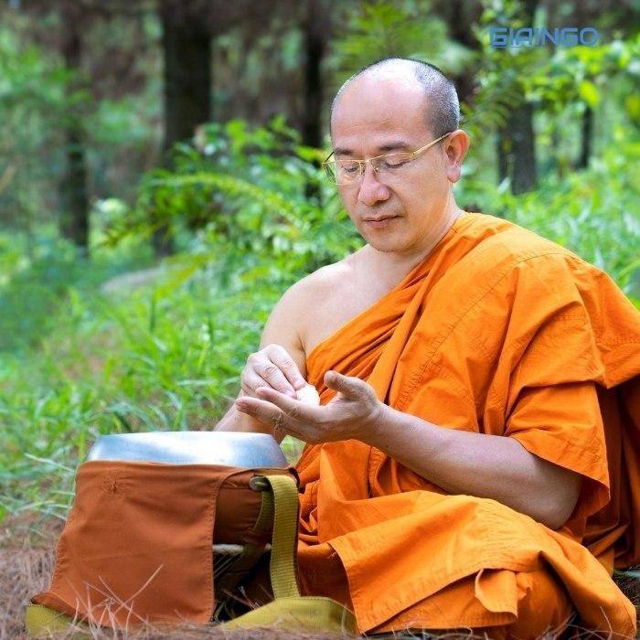 Thích Trúc Thái Minh giờ ra sao