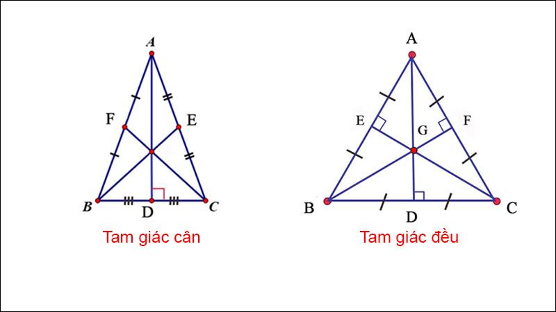 tính chất đường trung tuyến
