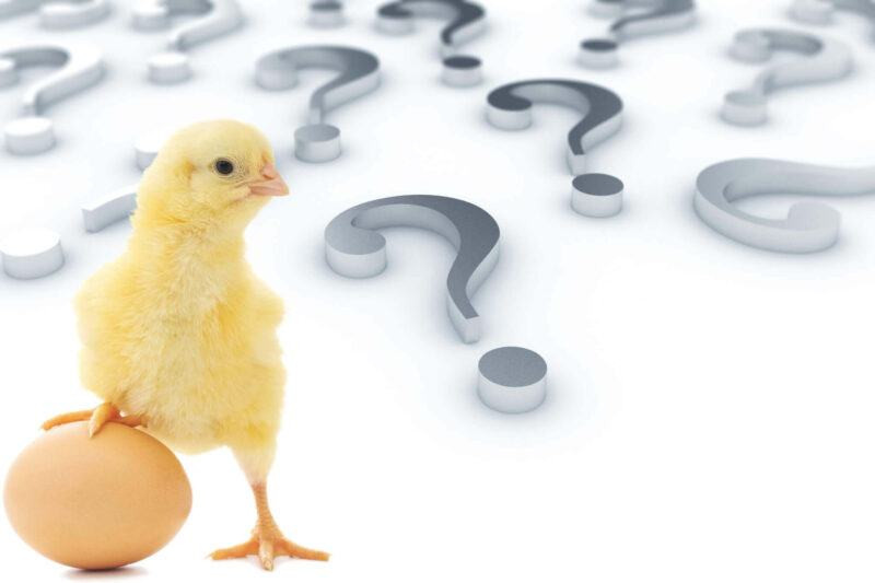 Trứng có trước hay gà có trước?