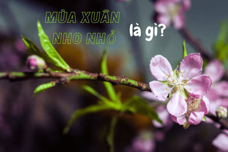 Ý nghĩa nhan đề Mùa xuân nho nhỏ của Thanh Hải?