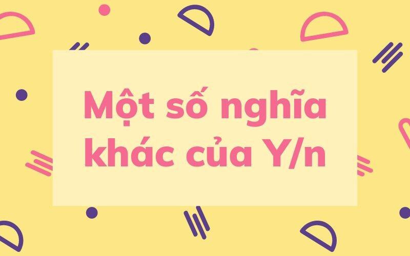 Một số nghĩa khác của y/n