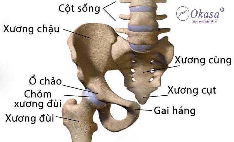 đau đốt sống cùng