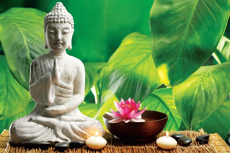 stt về cuộc sống an nhiên