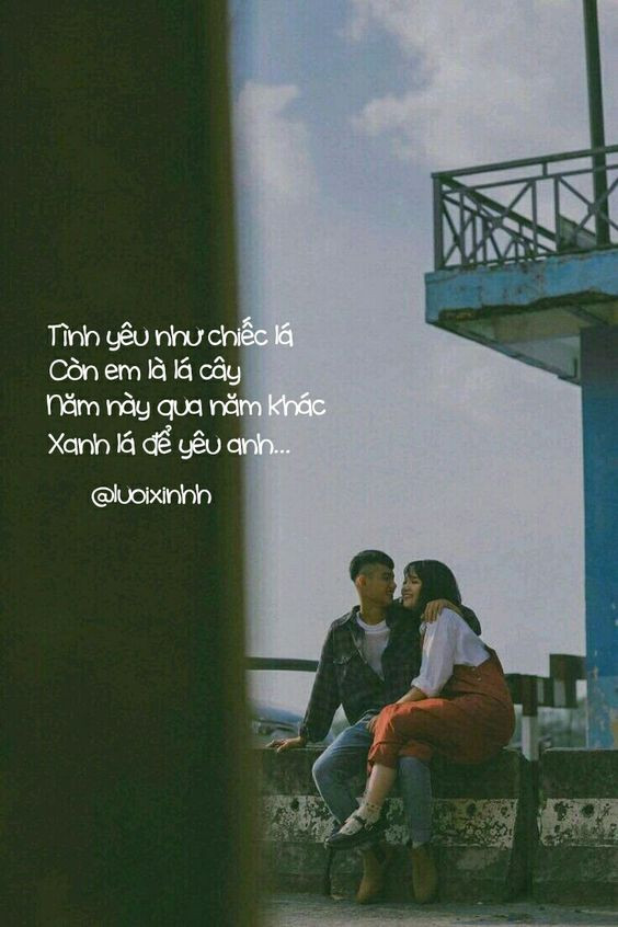 stt tình yêu ngọt ngào ngắn gọn hay nhất