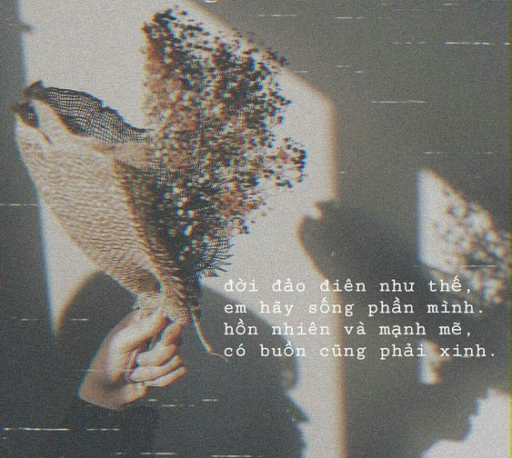 Cap chất về cuộc đời