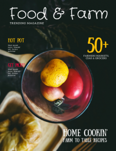 10 Bí Quyết Trong Thiết Kế & In Catalogue