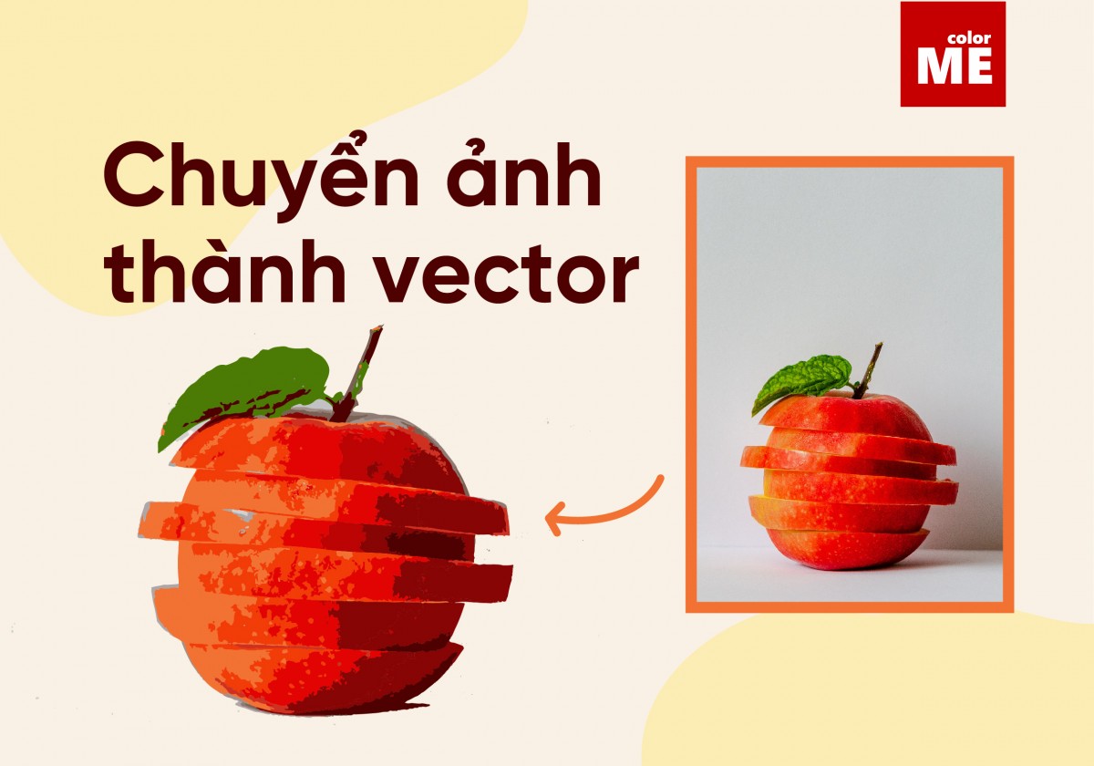 Cách chuyển ảnh sang thành vector trong AI Adobe Illustrator