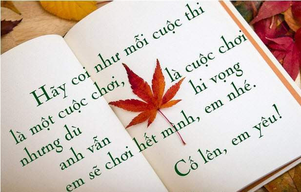  stt chúc thi tốt