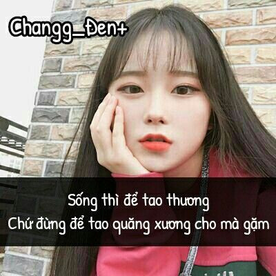 Những câu chửi hay không tục