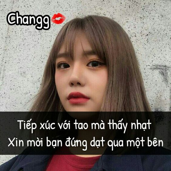 Những câu chửi hay không tục