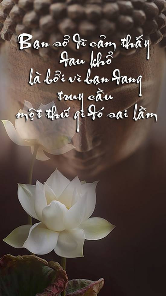 câu nói an ủi người đang buồn
