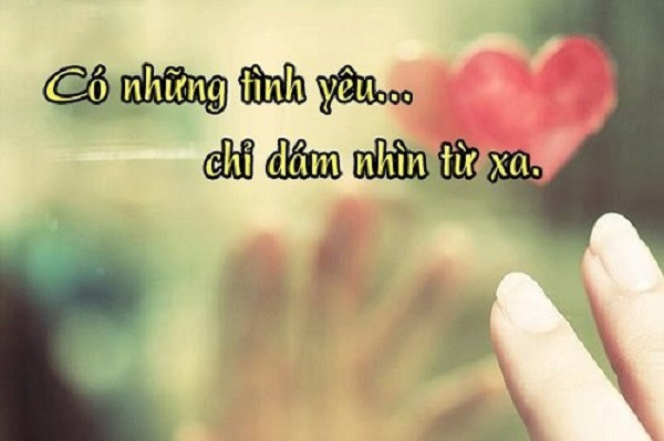 Câu nói hay về tình yêu đơn phương