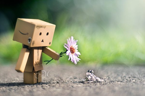 Câu nói hay về tình yêu đơn phương