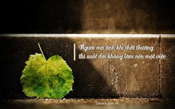những câu nói hay về công việc