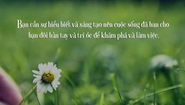 những câu nói hay về công việc