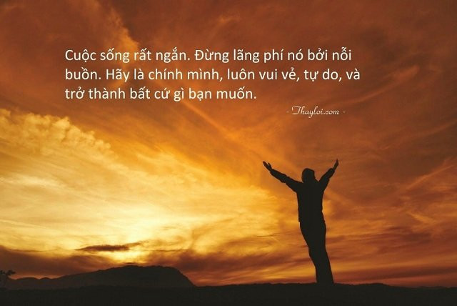 stt hay về cuộc sống bình yên